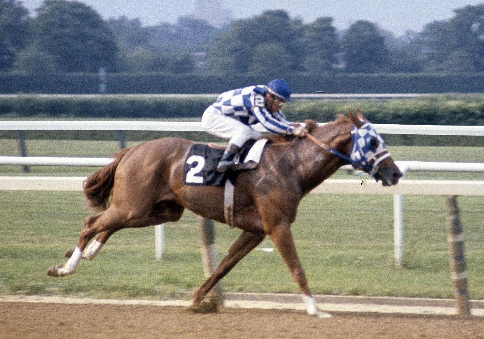 Horse Racing
