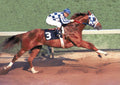 Secretariat