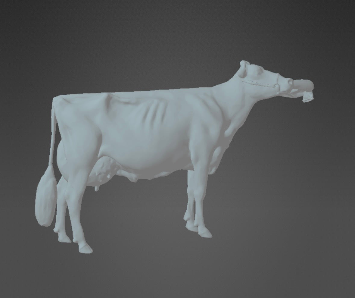 Custom Replica