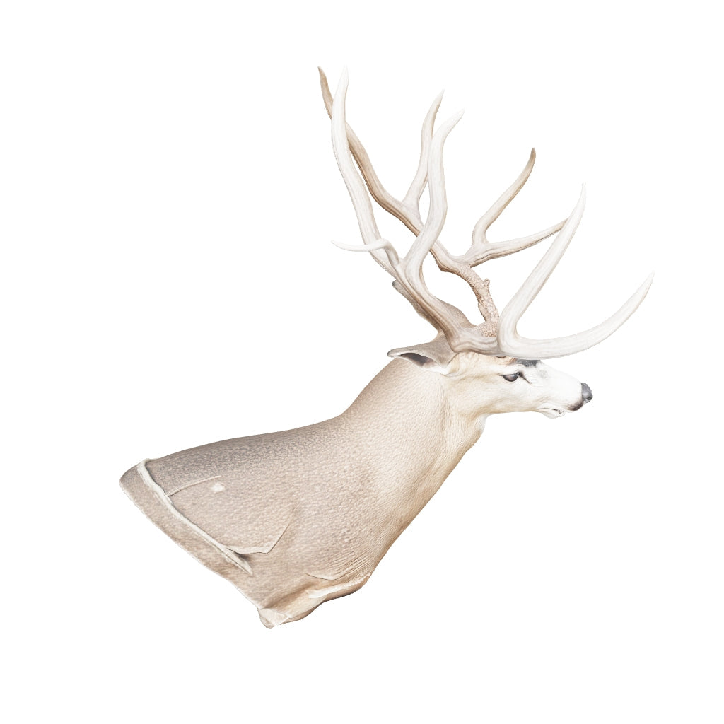 World Record Typical Mule Deer