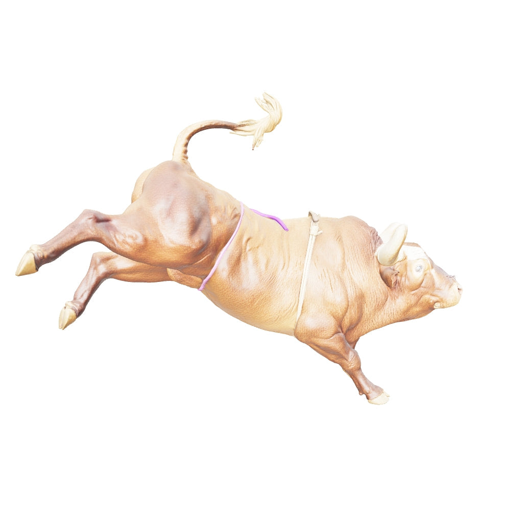Bushwacker