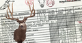 World Record Typical Mule Deer